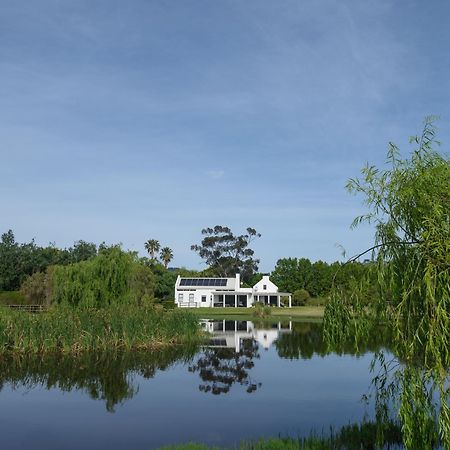 Sanddrif Stellenbosch Guest Farm Kültér fotó