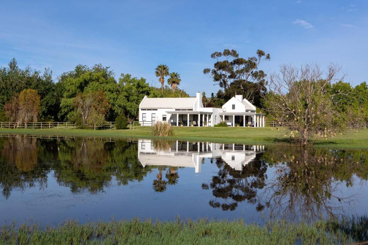 Sanddrif Stellenbosch Guest Farm Kültér fotó