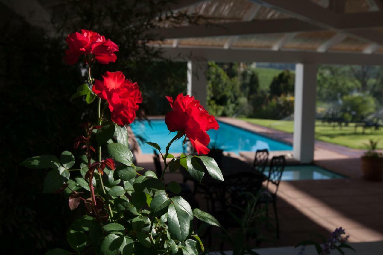 Sanddrif Stellenbosch Guest Farm Kültér fotó